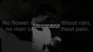 No FLOWER CAN GROW WITHOUT RAIN NO MAN CAN GROW WITHOUT PAIN