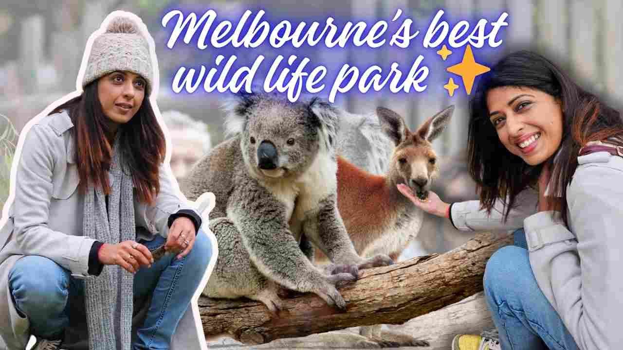 Visit to Moonlit Sanctuary park in Melbourne | Rohit Nag & Aishwarya Sakhuja Vlogs |  #wildlife