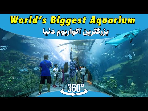 Exploring Dubai Aquarium & Underwater Zoo | Dubai 🇦🇪 in VR 360°