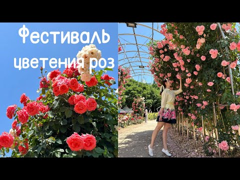 Фестиваль роз Сеул