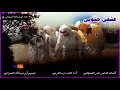 جنوبية عشقي جنوبي جنوبية عشقي جنوبي