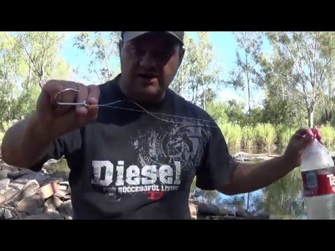 Cómo coger el siluro con una botella de Coca Cola - Parte 1 (Pesca)