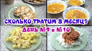 Сколько тратим на продукты в месяц? Дни 9 и 10/ Что готовили на два дня/вафли на кефире/фрикадельки/