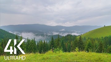 8HRS of Birds Singing and Sounds of Rain and Thunderstorm - Rain in the Carpathian Mountains 4K UHD