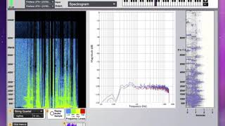 Spectrogram || FMT http://vjmanzo.com/fmt screenshot 3