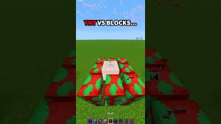 Minecraft TNT vs Blocks: What Breaks? 🤯 #minecraft #shorts