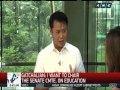 Gatchalian proposes a super ppp center