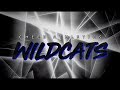 Cheer Athletics Wildcats 2018-19 Routine π
