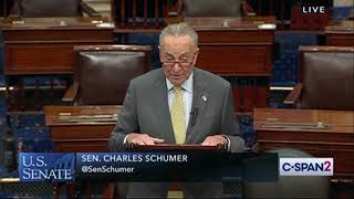 Chuck Schumer slams Ron Johnson for Hunter Biden report: 'It reads as if Putin wrote it'