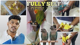 super Tamed birds ! Hand Train by Makrand #Malad #birdslovers #pets