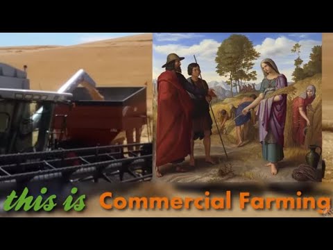 AP Geo: Commercial vs Subsistence Farming