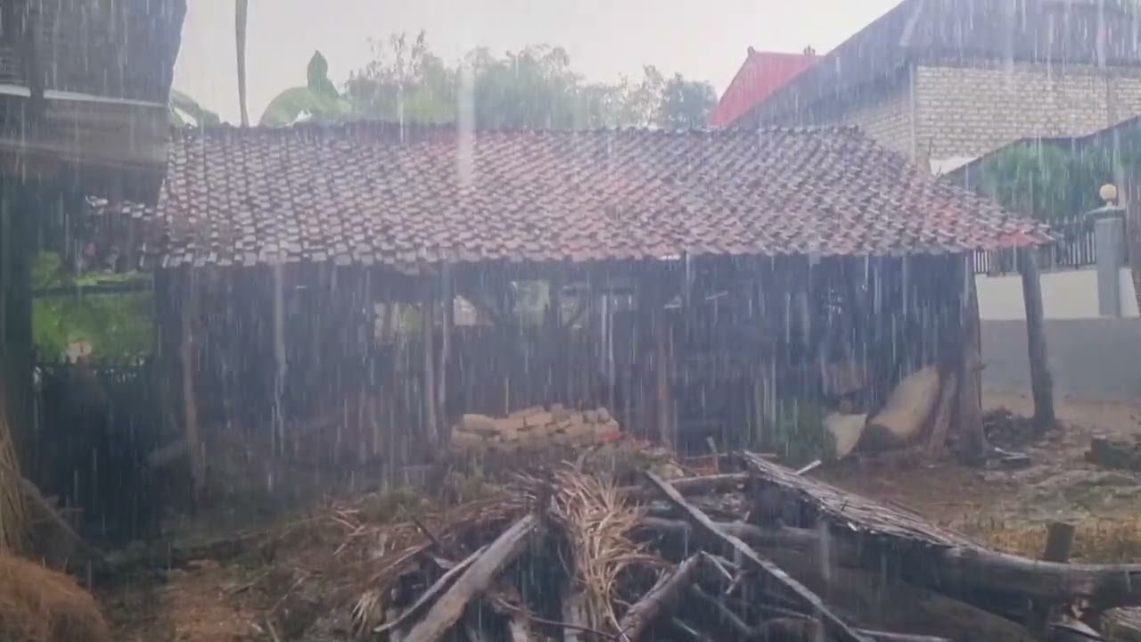 Peaceful Night Heavy Rain in a Remote Village 🌧️ Sounds for Deep Sleeping