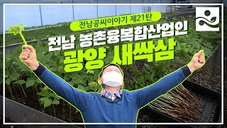[공씨이야기 21탄] 전남 농촌융복합산업인 I 심봤다?!ㅣ통째로 먹는 새싹삼