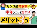 リンゴ酢６か月で実感したメリット[リンゴ酢ダイエット体験談]