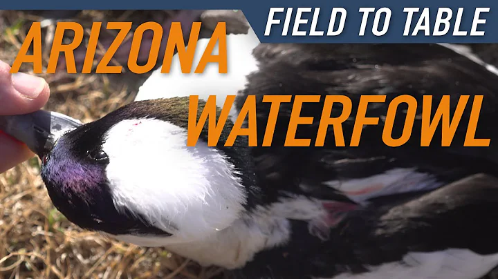 How To Make Duck Fajitas (Field to Table) | Hunters Connect