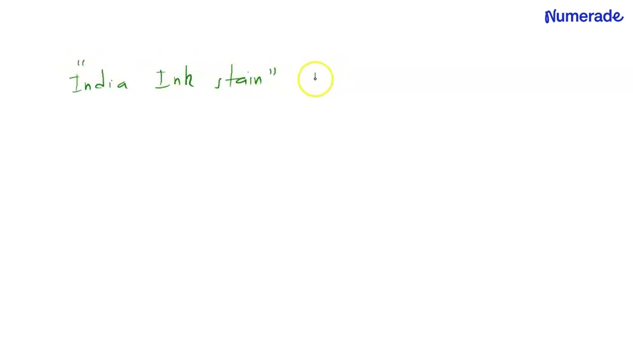 Alex skis down a mountain that is 1200m in height. If he has no friction and does not try to slow d…