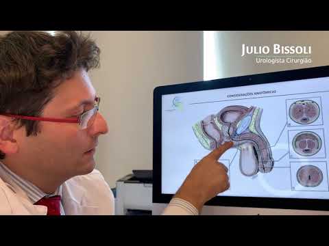 Anatomia da Uretra - Dr. Julio Bissoli