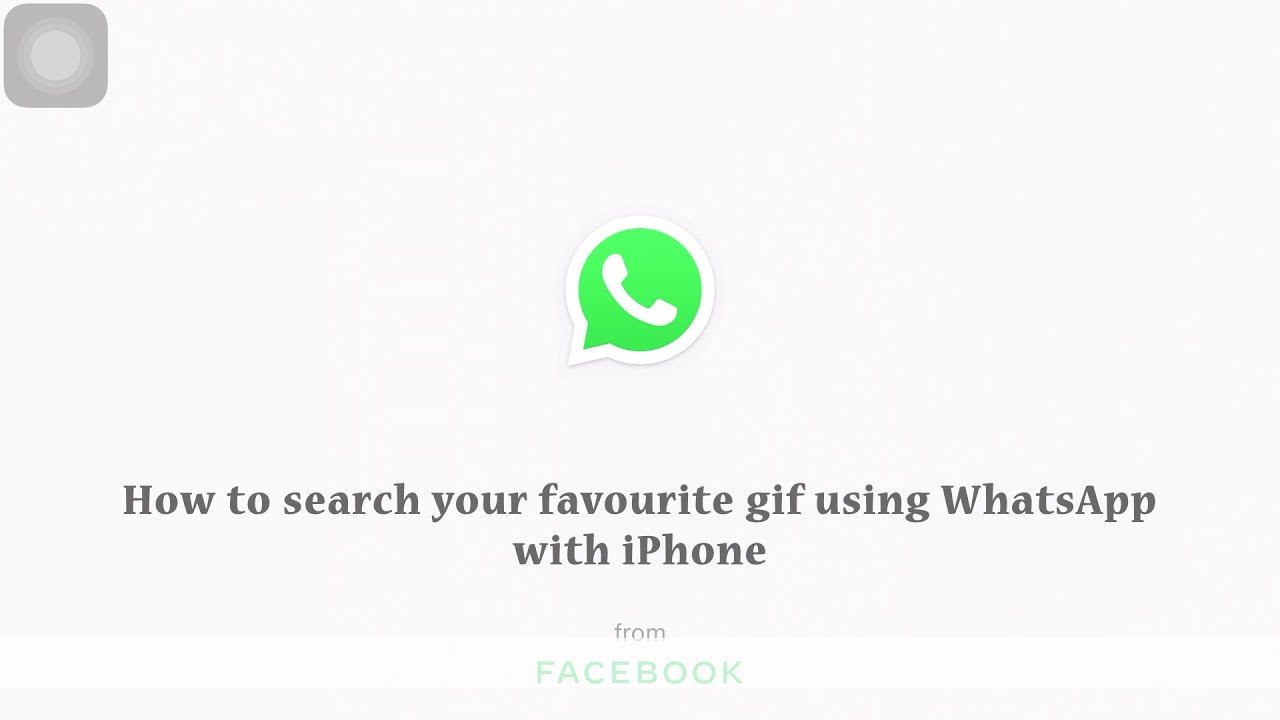 how to search your favourite gif using whatsapp with iPhone - YouTube