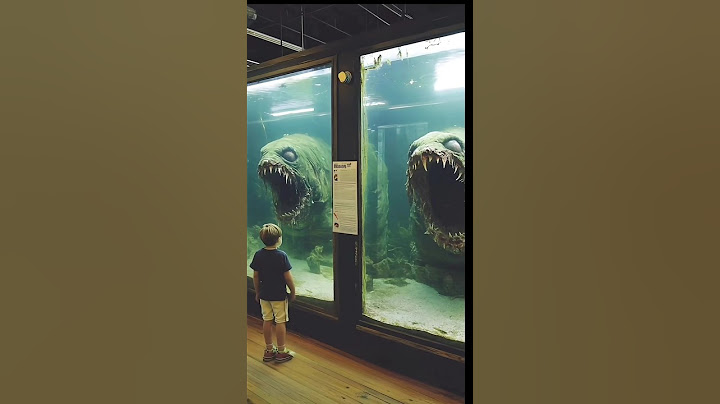No podrás ver estos animales en los acuarios ...#zoo #animal #top #curiosidades #ocean