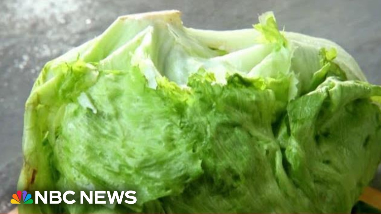 Iceberg lettuce eyed in parasite outbreak Iceberg lettuce eyed in parasite outbreak