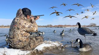 EPIC Icy River Duck and Goose Hunting! (THEY WANTED IN)