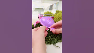 Let S Setup The Coolest Toy 