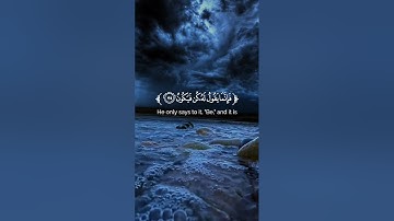 سورة مريم الآية (35/36) #ماكان_لله_أن_يتَّخذ_من_ولدٍ #القارئ_محمد_هشام