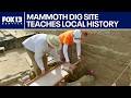 WA's 'McBones Mammoth Site' offers insight on state history, wildlife | FOX 13 Seattle