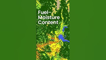 🔥 Fire-Behavior Modeling, Fuel-Moisture Content: New Discoveries in Fire Science 🔥 NSF NCAR RAL