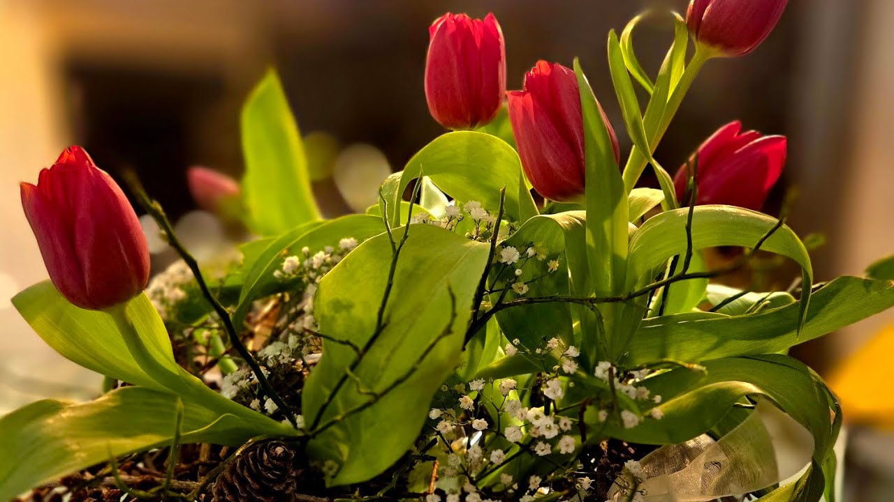 DEKO-RECYCLING: 1 neues Highlight aus 3 alten Projekten! ♻️🌷 Nachhaltig & Kreativ