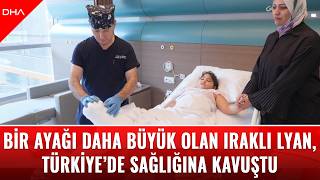 Bir Ayağı Daha Büyük Olan Iraklı Lyan, Türkiye’de Sağlığına Kavuştu
