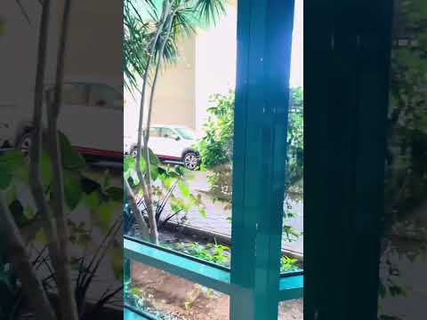 أنا لا أكذب ولكني أتجمل بصوتي أماكن تصوير فوتو سيشن اكسبلور تفاؤل ذهبيات سوشيال ميديا خداع