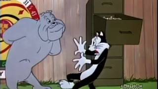 Looney Tunes - Cat and Bulldog - Oh no, Not that!  Not the...