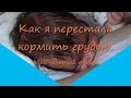 Как я перестала кормить грудью Мой удачный опыт.