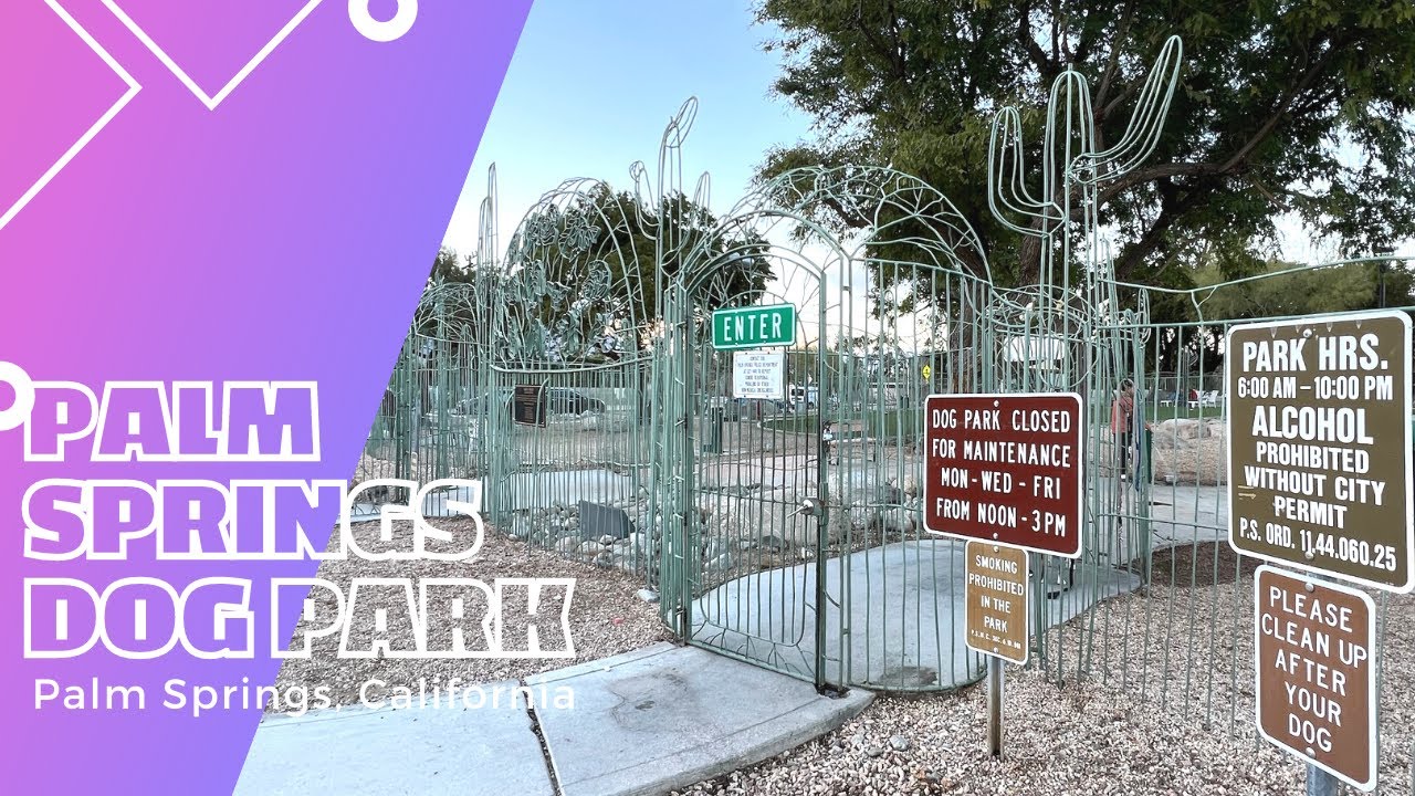 David H. Ready Palm Springs Dog Park Palm Springs, California YouTube