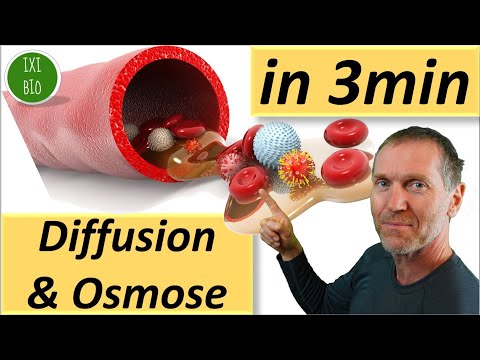 Video: Unterschied Zwischen Osmose Und Diffusion In Der Biologie