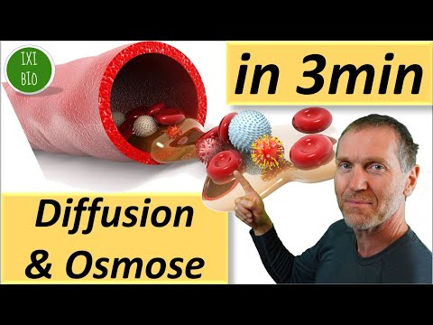 Video: Unterschied Zwischen Osmose Und Dialyse