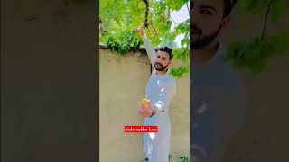 apricots is ready for eating #apricots #viralvideo #pakistan #shorts