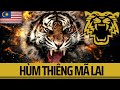 Malaysia: hổ Mã Lai - Biểu tượng quốc gia #21