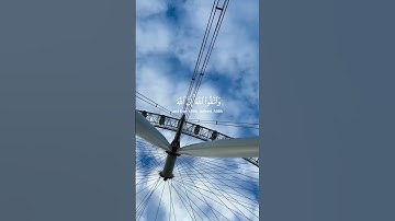 #سالم_الرويلي ‏‎السورة 📖 الحشر