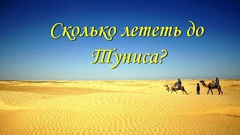 Сколько лететь до Туниса?