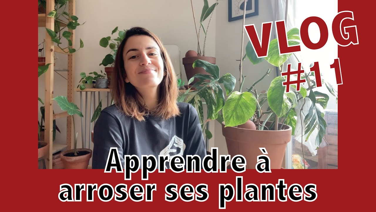 Accessoires plantes pour les chouchouter et se faciliter la vie