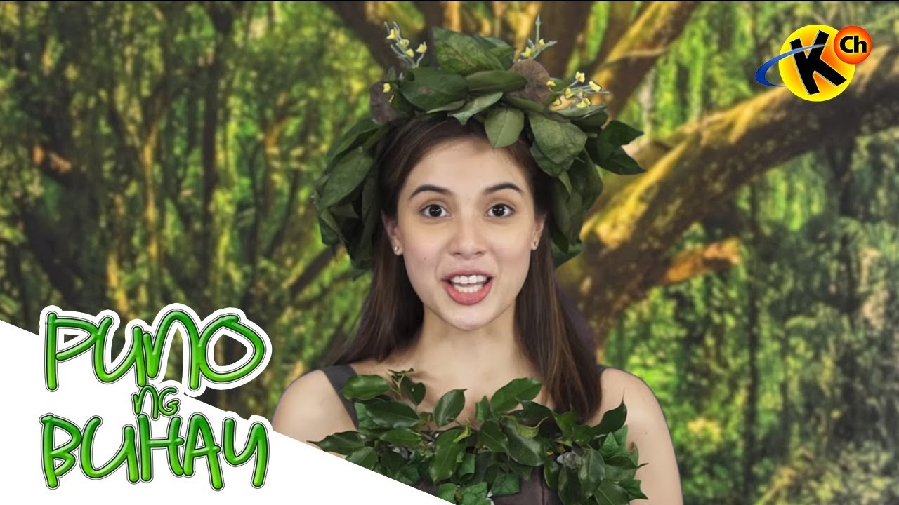 Living Things – Plants | Puno ng Buhay | Grade 3 Science