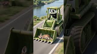 I can always count on Panda ,no matter what happend