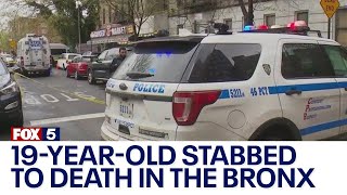 19yearold stabbed to death in the Bronx