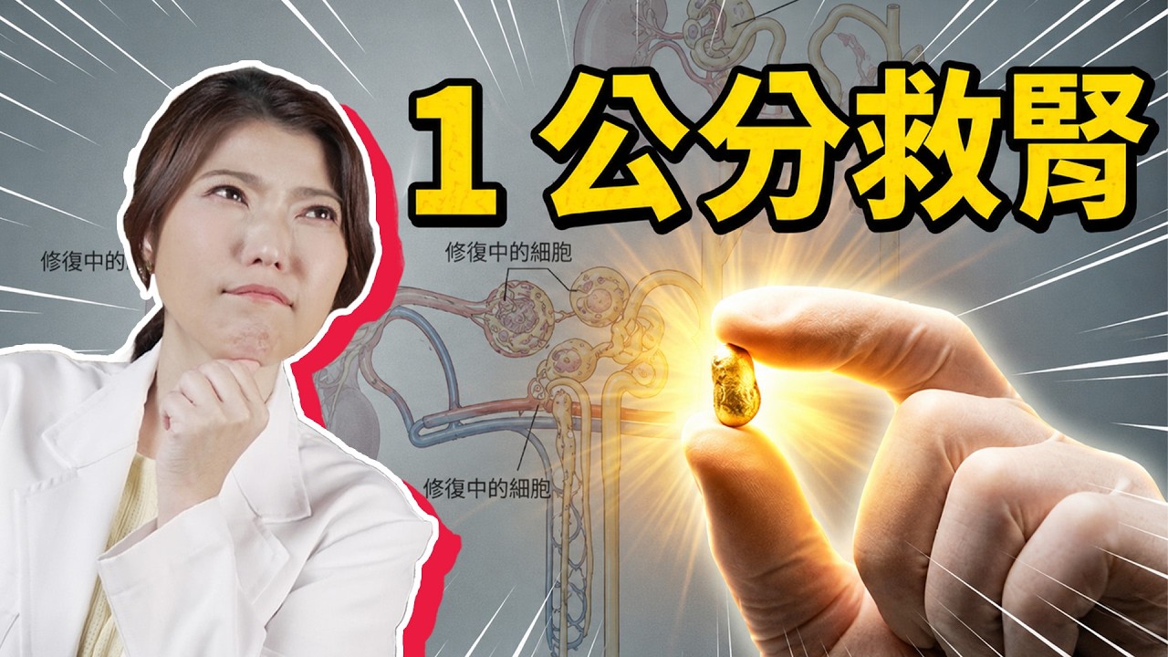 台灣研發登亞洲第一!「花生米」大小腎組織,真能終結洗腎嗎? 縮圖