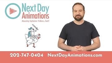 Next Day Animations: Amazing Explainer Videos...Fast!