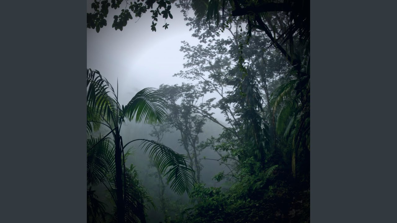 A Brand New Day (Instrumental) YouTube