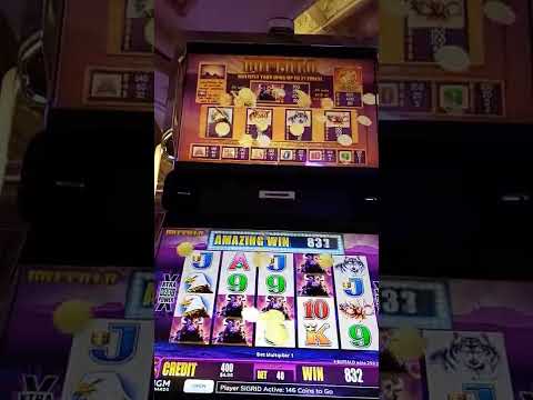 Ruby Slots Wins Big Gambling at Flamingo Las Vegas!