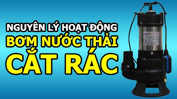 Cách hoạt động của Bơm Chìm Nước Thải | Máy Bơm Cắt Rác | Máy Bơm Tõm